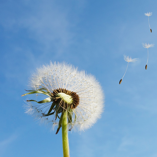 中国·163am银河线路(股份)有限公司-官方网站